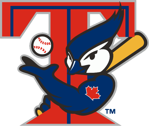 Toronto Blue Jays 2003 Primary Logo DIY iron on transfer (heat transfer)